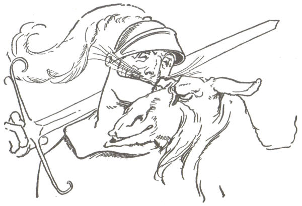 Sir Hokus and the Doubtful Dromedary