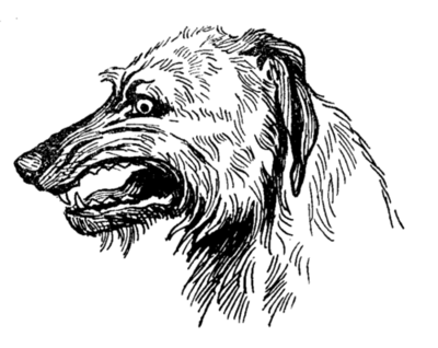 snarling wolfhound head