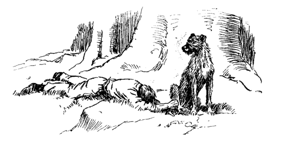 wolfhound sitting by collapsed man