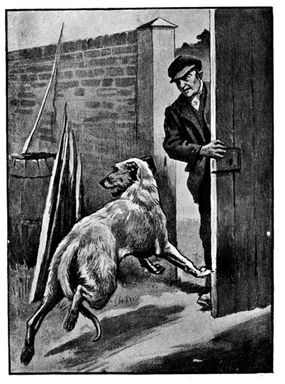 man opening yard gate onto wolfhound