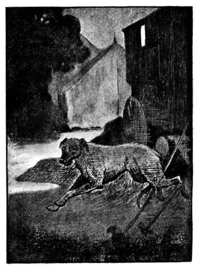 wolfhound fleeing circus by night