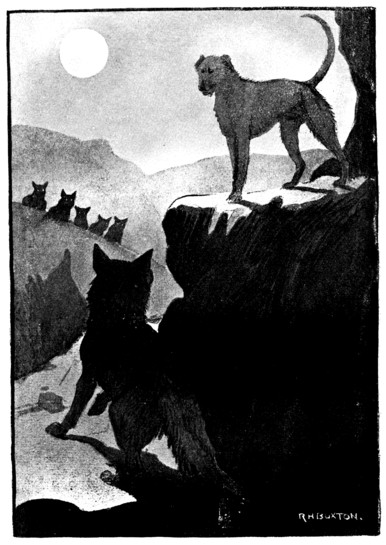 wolfhound standing above Lupus