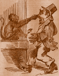 Monkey Grabbing Man's Nose.