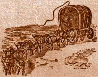 Riding a Wagon drawn by Bullock-Team.