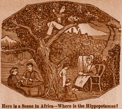 Puzzle, Where is the Hippopotamus?