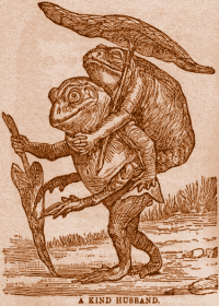 Kind frog carrying his wife.