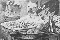 Guarda fiel―Antonio José da Costa Guarda fiel―Antonio José da Costa