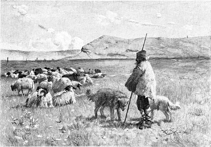 AN ANGORA SHEPHERD.