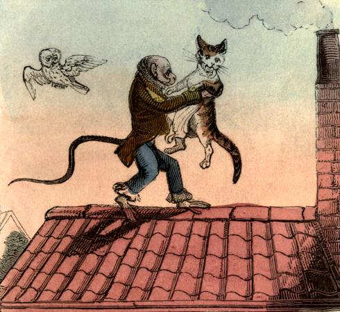 The Monkey pacing the roof, nursing the Cat