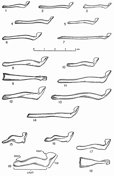 Figs. 1-19. Lateral view of right side, unless otherwise indicated, of the
baculum in each of the species of chipmunks (subgenus Neotamias) of western
North America