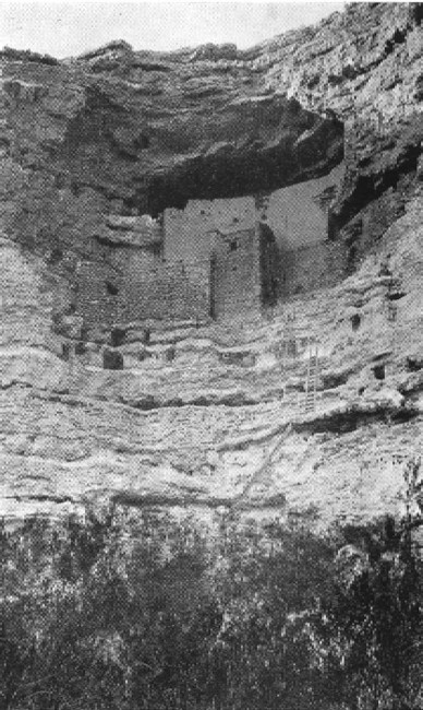Montezuma's Castle, the ruined cliff dwelling on Beaver
Creek between the Coconino and Prescott National Forests, Arizona