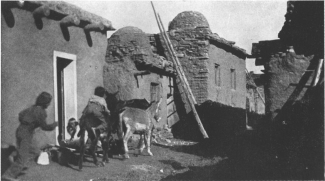 Pueblo boys at play in the streets of Zuñi, New Mexico.
The dome-like tops on the houses are bake ovens