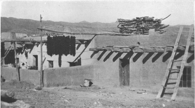Chili peppers drying outside pueblo dwelling. The
structure of sticks on the roof is a cage where an eagle is kept for its
feathers, which are used in religious rites