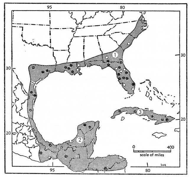 Geographic distribution of the three
subspecies of <i>Lasiurus intermedius