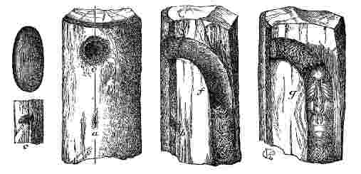 Fig. 14 at 50 dpi Fig. 14
