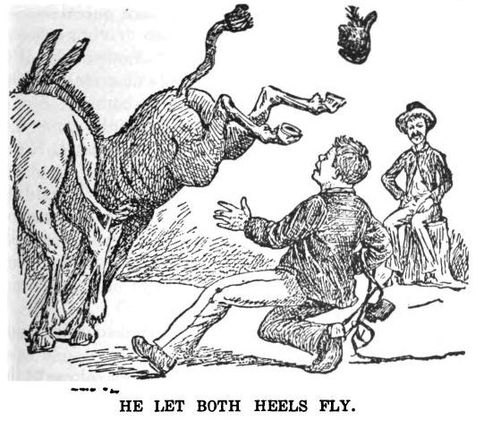 He Let Both Heels Fly 133