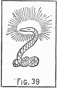 serpent with rays of glory surrounding his head