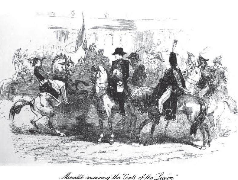 Browneminnette105