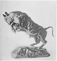 From the collection of the late Cyrus J. Lawrence, Esq.

The Prancing Bull

("TAUREAU CABR")

From a bronze by Barye