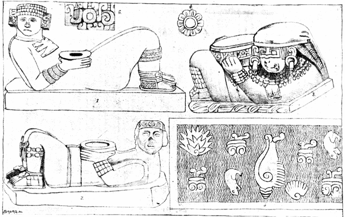 Plate IV. Illustration.