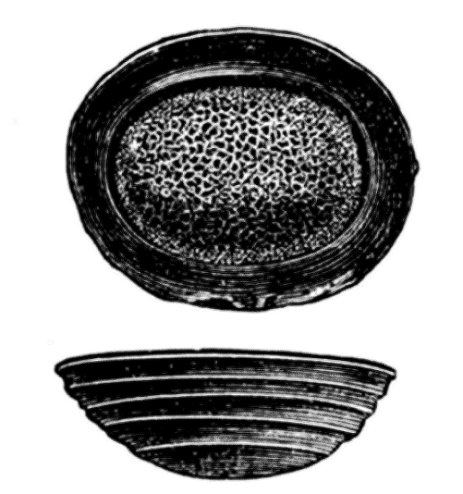 Fig. 4. Vulcanische Bombe von
Obsidian aus Australien. Die obere
Figur gibt eine Flächenansicht, die
untere eine Seitenansicht desselben
Gegenstandes.