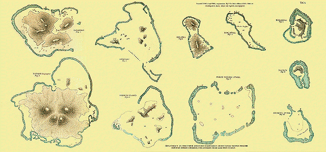 Tafel I. Ähnlichkeit in der Form zwischen Barrieren- oder Canal-Riffen welche bergige Inseln umgeben, und Atollen oder Lagunen-Inseln