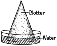 Cone made of desk blotter sitting in shallow dish of water.