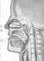 View of nose and throat
