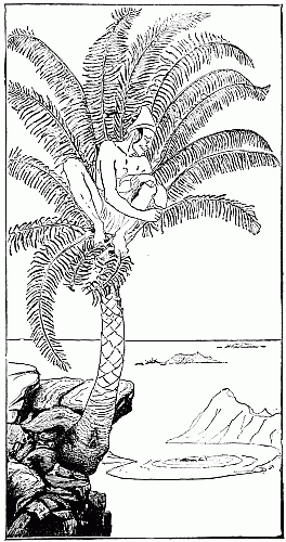 This is the Parsee Pestonjee Bomonjee sitting in his palm-tree and watching the Rhinoceros Strorks bathing near the beach of the Altogether Uninhabited Island after Strorks had taken off his skin.