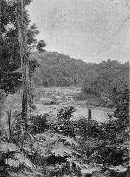 A GUIANA RIVER. THE TUMATAMARI FALLS.