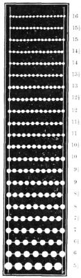 Perforation sizes are determined by the number of holes
contained in the space between the two vertical white lines.