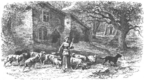 Joan leading her flock of sheep