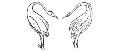 Stork and Phlox