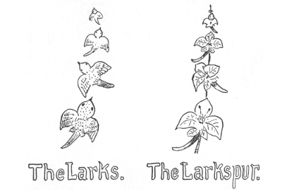The Larks. The Larkspur.