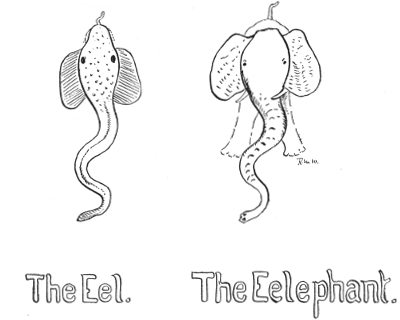 The Eel. The Eelephant.