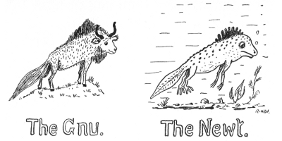 The Gnu. The Newt.
