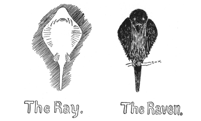The Ray. The Raven.