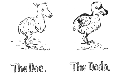 The Doe. The Dodo.