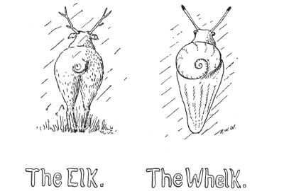 The Elk. The Whelk.