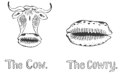 The Cow. The Cowry.