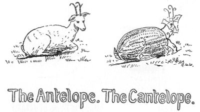 The Antelope. The Cantelope.