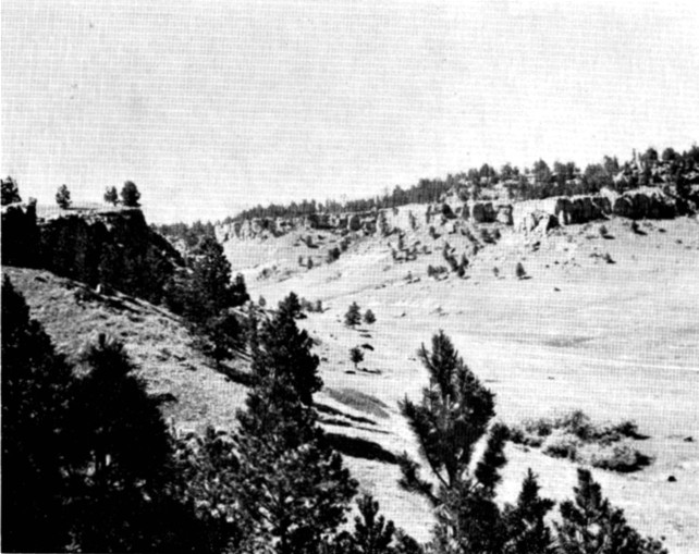 Fig. 3. Fuller Canyon, North Cave Hills.