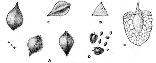 Fig 41.