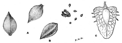 Fig 42.