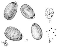 Fig 89.