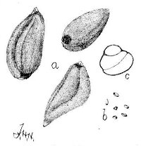 Fig 90.