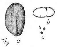 Fig 93.