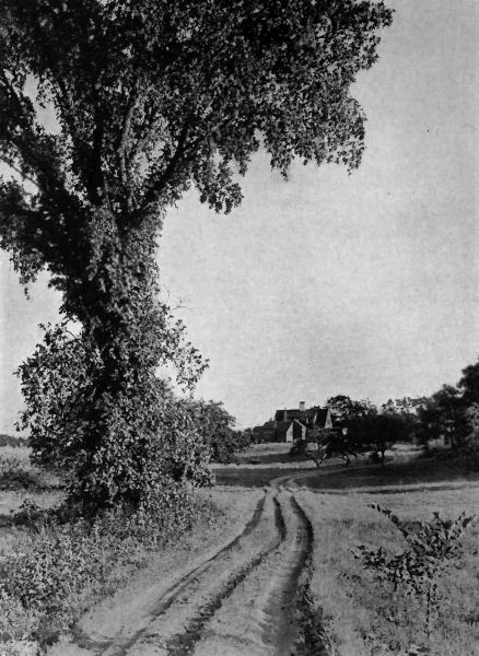 Three Acres, from the Main Road