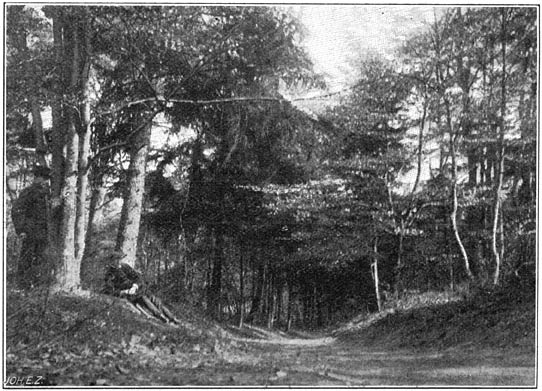 Ingang van het bosch van Birkhoven.