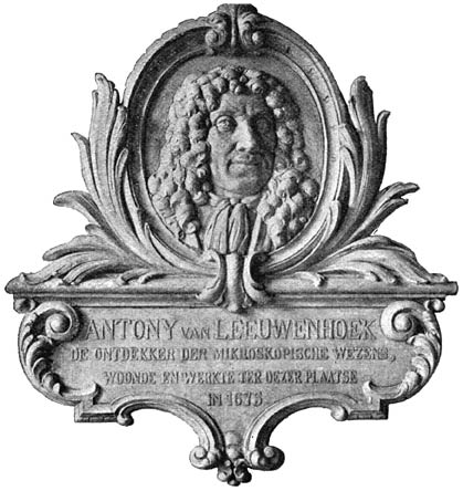 Het gedenkteeken ter herinnering aan Antony van Leeuwenhoek.